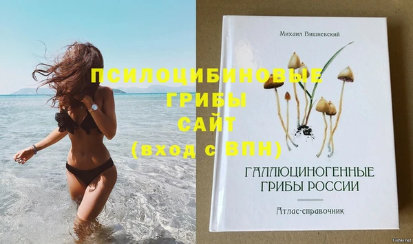 apvp Семилуки