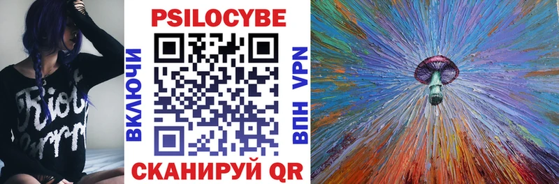 Псилоцибиновые грибы Psilocybine cubensis  Велиж 